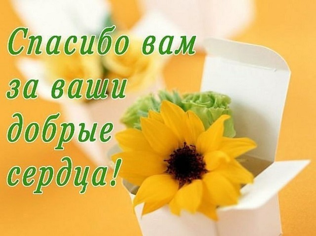 foto 08 06 2020 13 44 3