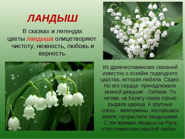 foto 19 06 2020 09 28 10