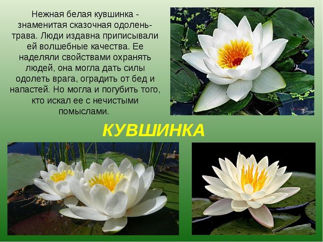 foto 19 06 2020 09 28 11