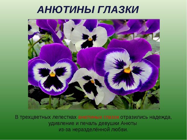 foto 19 06 2020 09 28 12
