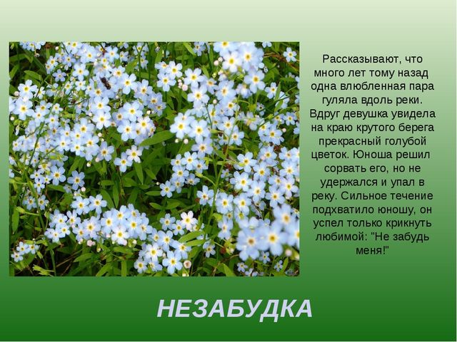 foto 19 06 2020 09 28 13