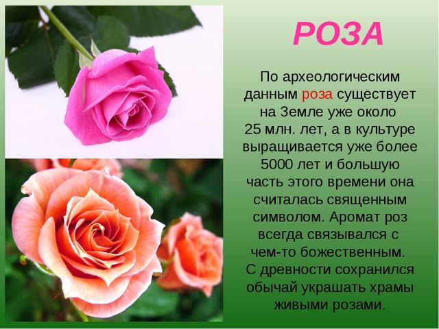 foto 19 06 2020 09 28 14