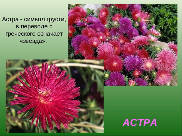 foto 19 06 2020 09 28 15