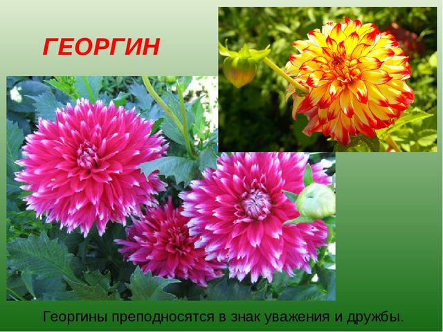 foto 19 06 2020 09 28 16