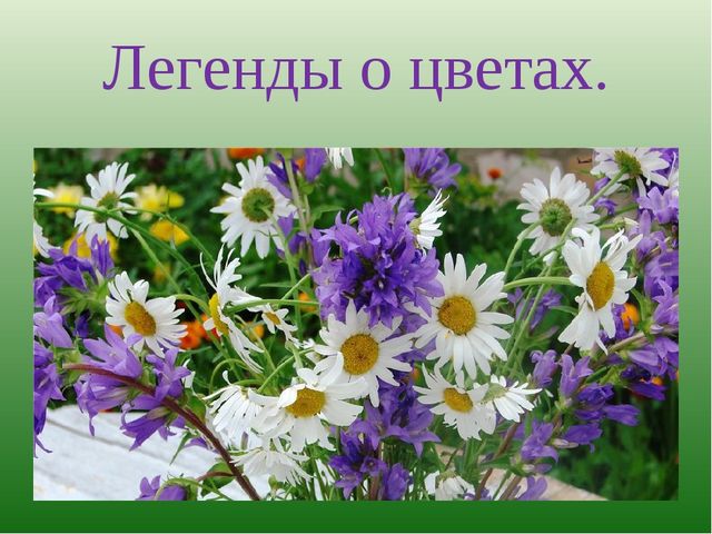 foto 19 06 2020 09 28 2