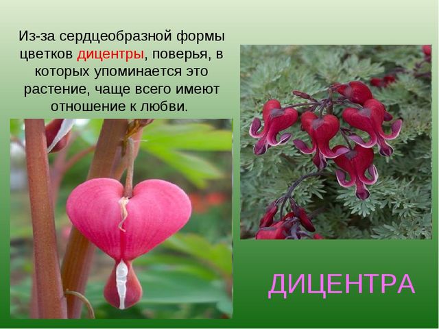 foto 19 06 2020 09 28 4