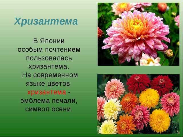 foto 19 06 2020 09 28 5