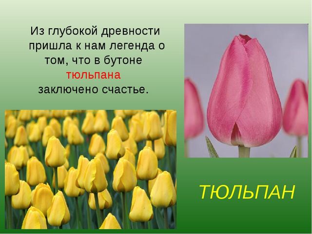 foto 19 06 2020 09 28 6
