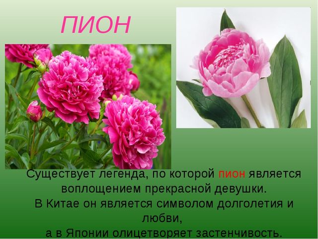 foto 19 06 2020 09 28 7