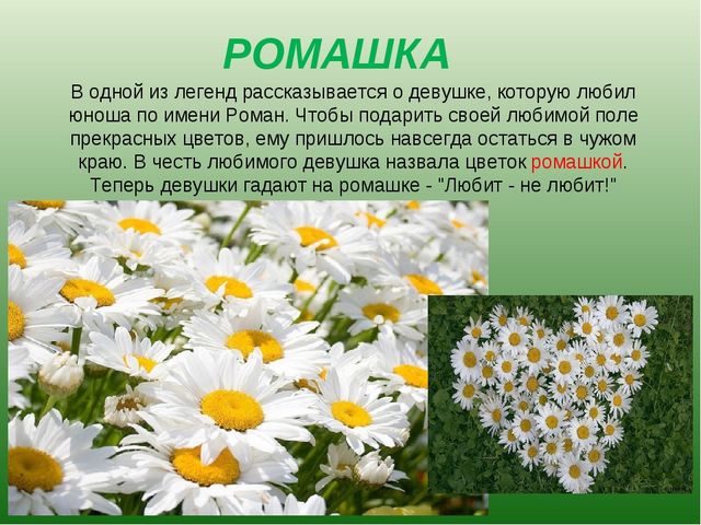 foto 19 06 2020 09 28 8