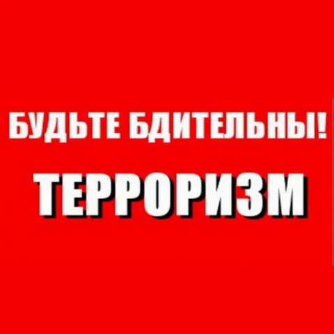 foto 2024 02 15 15 55 5