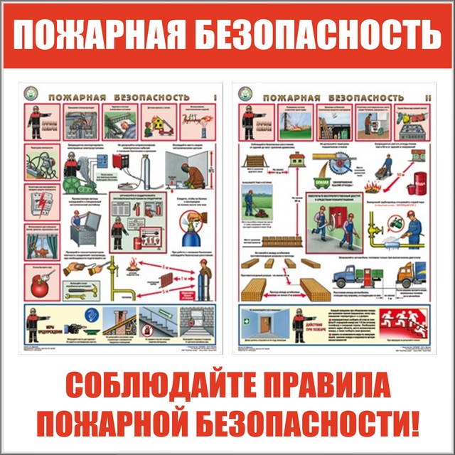 foto 2025 04 01 11 36 003