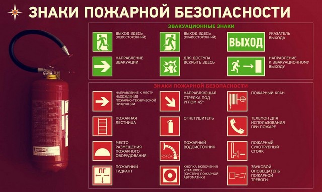 foto 2025 04 01 11 36 004