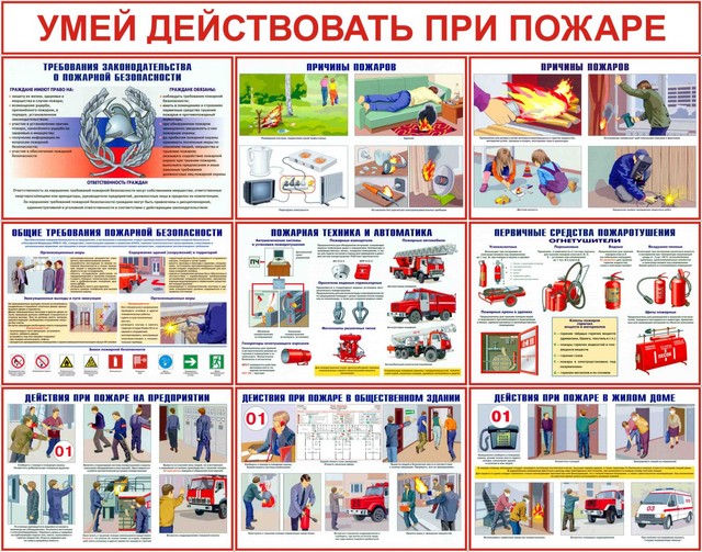 foto 2025 04 01 11 36 008
