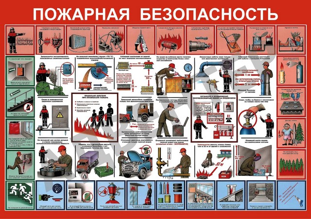 foto 2025 04 01 11 36 009